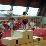 Kup i Pionirska liga Srbije u muškoj sportskoj gimnastici, maj 2010 Kostolac (55)